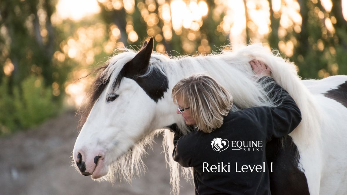 Equine Reiki Level I NSW