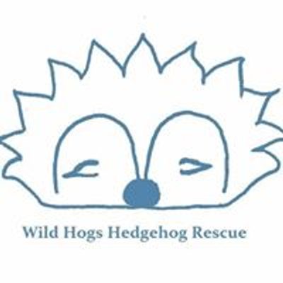 Wild Hogs Hedgehog Rescue