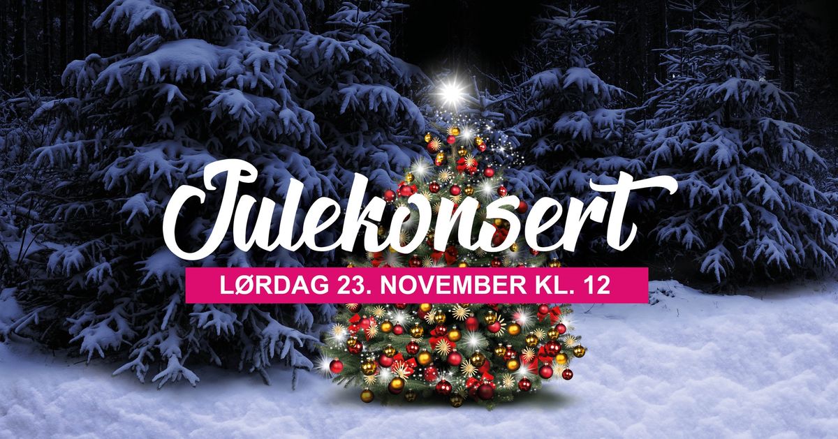 Julekonsert p\u00e5 Blomsterdalen Senter \ud83c\udf84