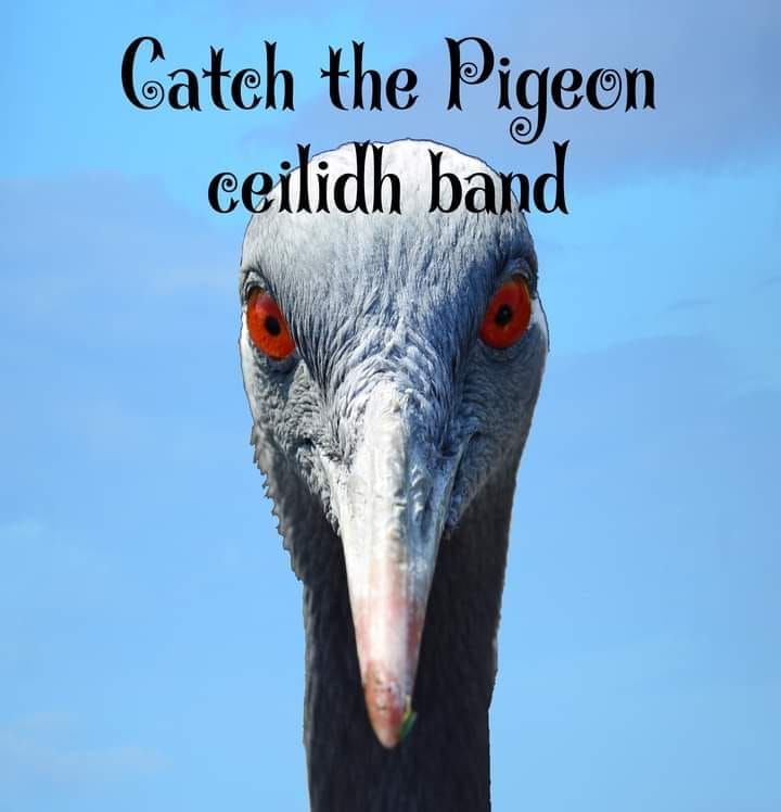 Ceilidh