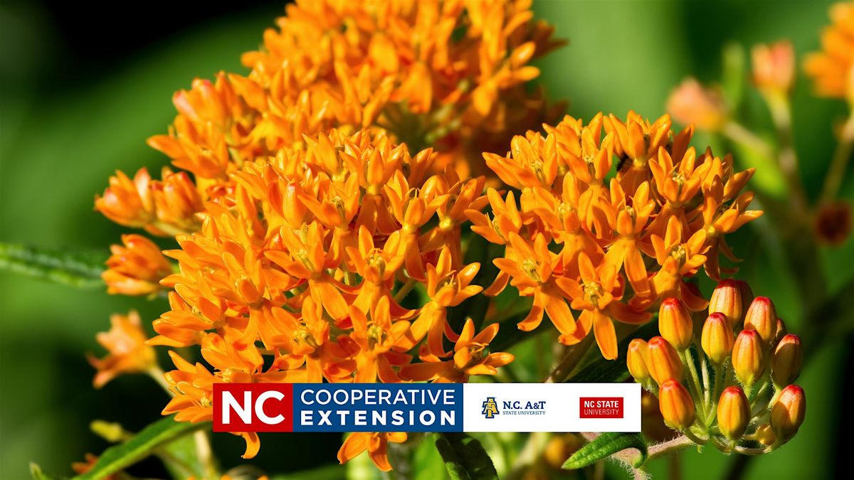 Gardening with Natives: Big Impact, Less Work