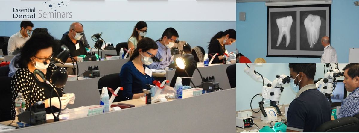 Simplifying Endodontics while Strengthening Restorations: A Hands-On Seminar.