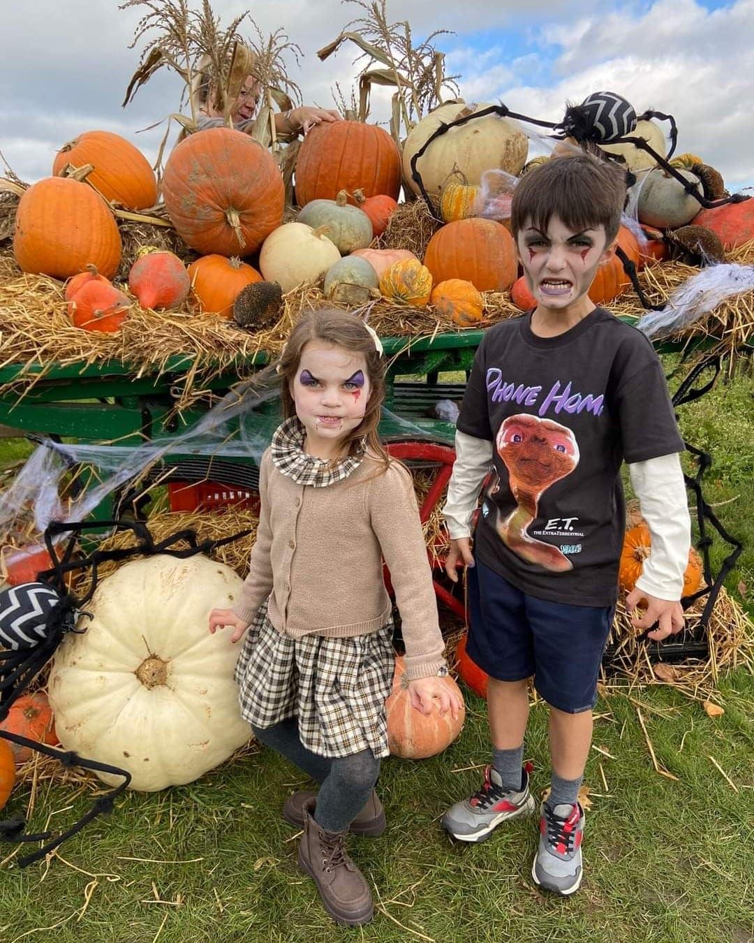 Pumpkin Patch & Halloween Face Painting 