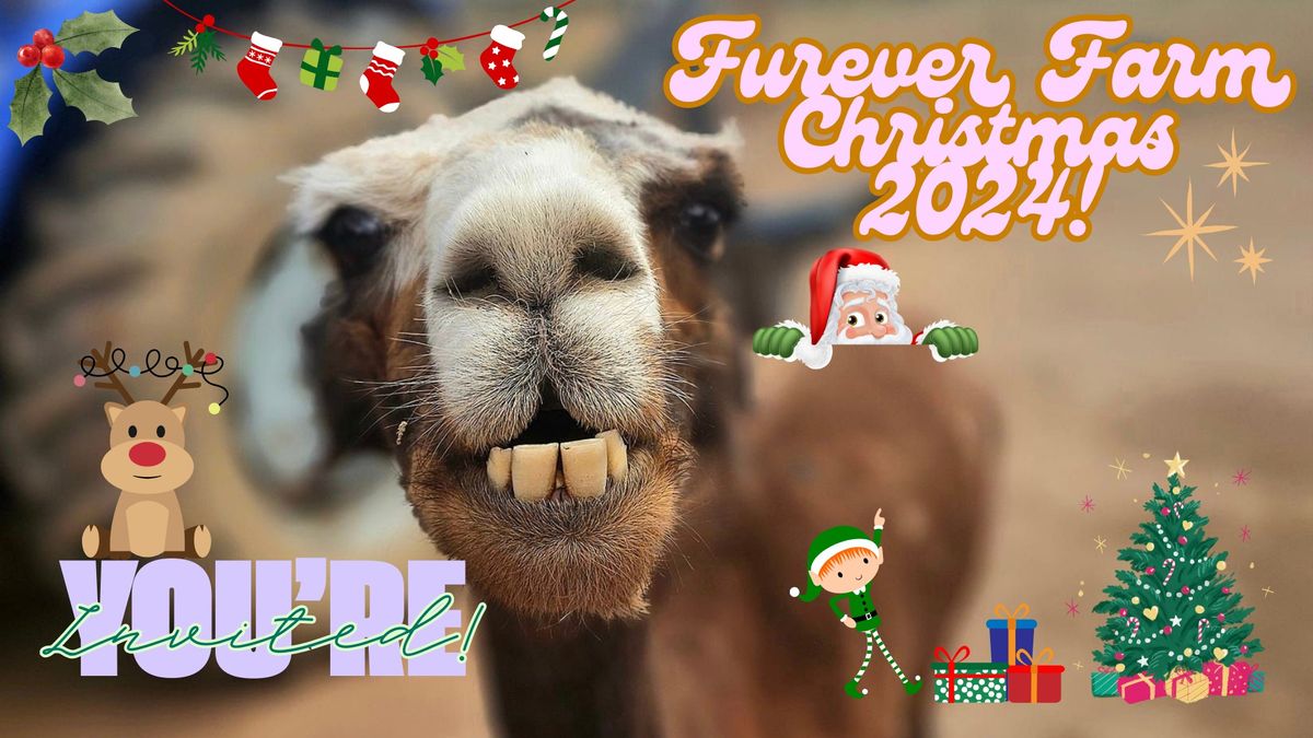 Furever Farm Christmas 2024