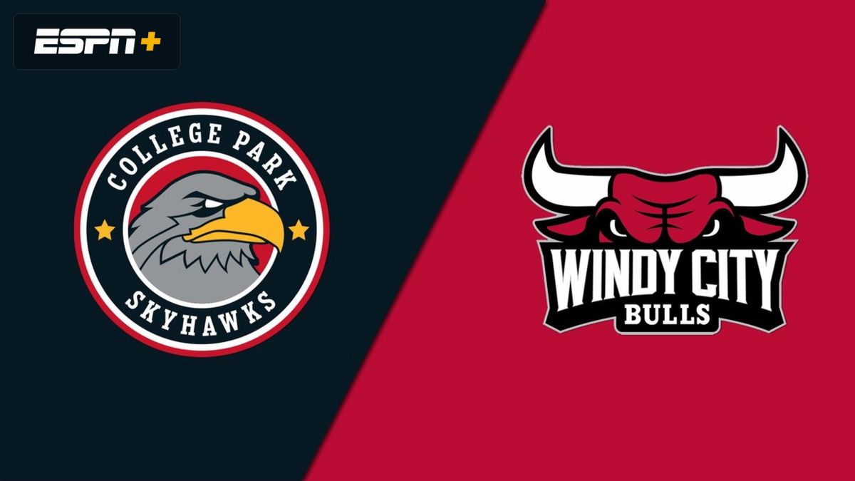 College Park Skyhawks at Windy City Bulls