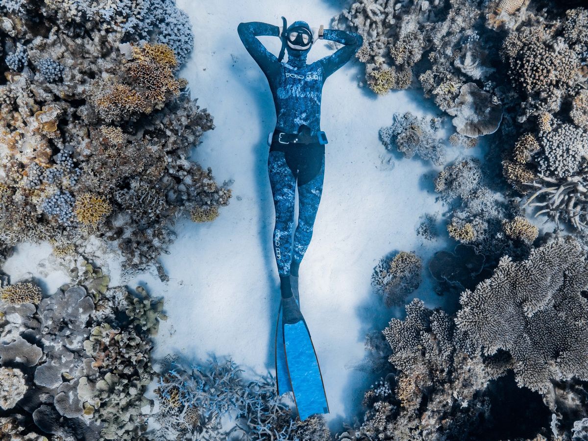 Learn to freedive, Stage A - Newcastle, NSW