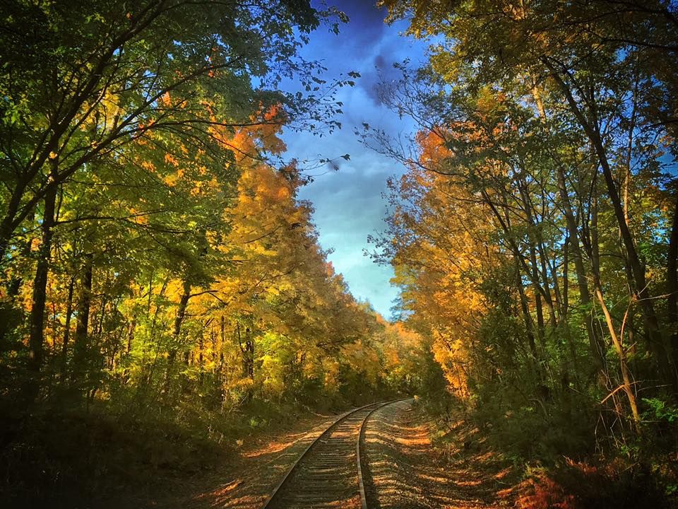 Sold Out- Fall Foliage Train Ride