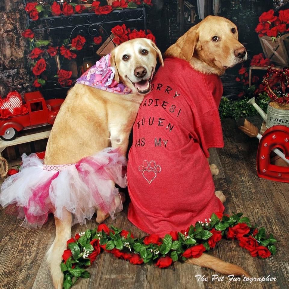 Valentines, St. Patrick\u2019s, Mardi Gras pic 2\/8\/24 @ Pet Extravaganza in Carrollton 