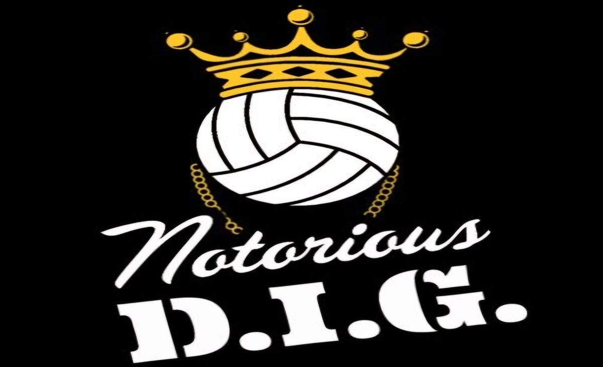 Notorious D.I.G. - Co-ed 6's Tournament 
