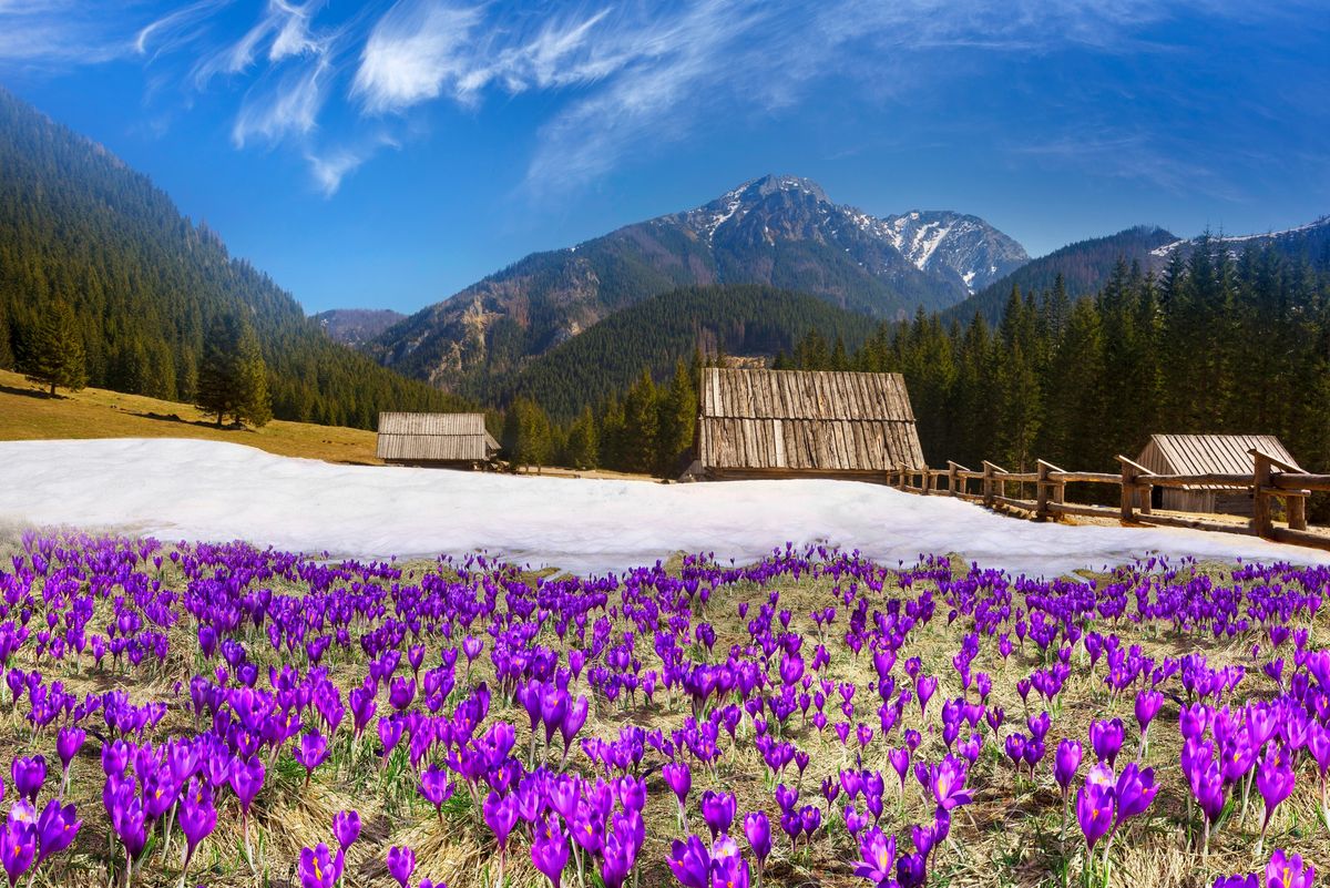 Krokusy i Morskie Oko ( a dla ch\u0119tnych co\u015b trudniejszego )  czyli Kwietniowy Weekend w Tatrach 