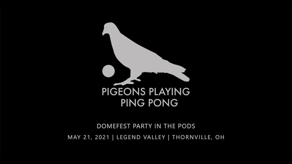 Pigeons Playing Ping Pong (21+)