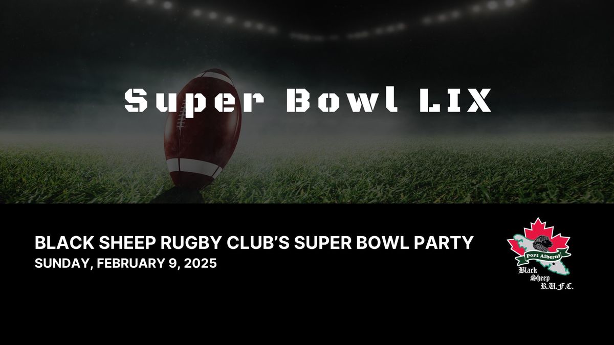 Super Bowl LIX Party