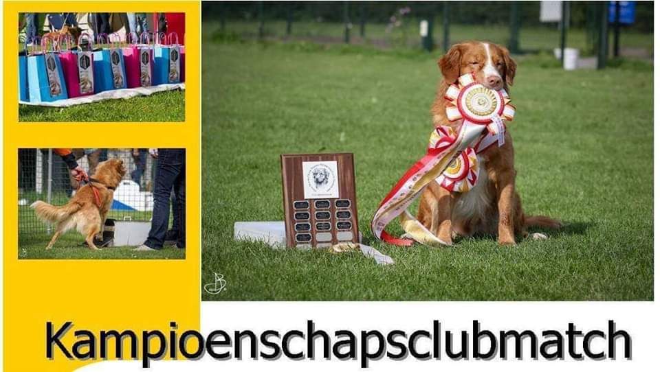 Kampioenschapsclubmatch 14-09-2025