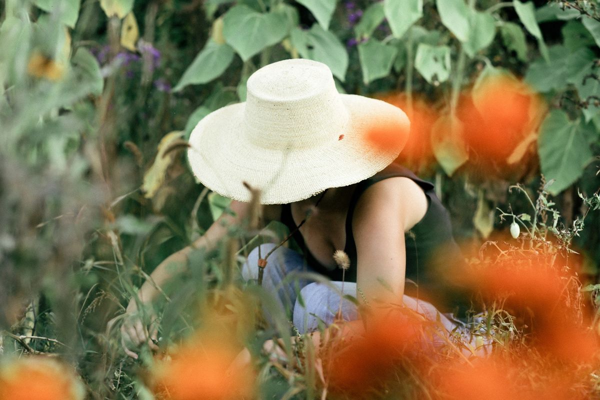 Atelier : Cultiver et cueillir des plantes colorantes