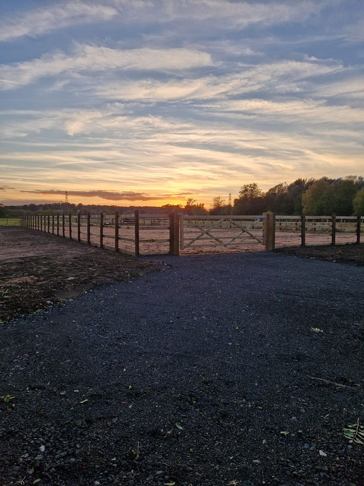 Flatwork Clinic with Lindsey Wilcox-Reid - ridden or in hand