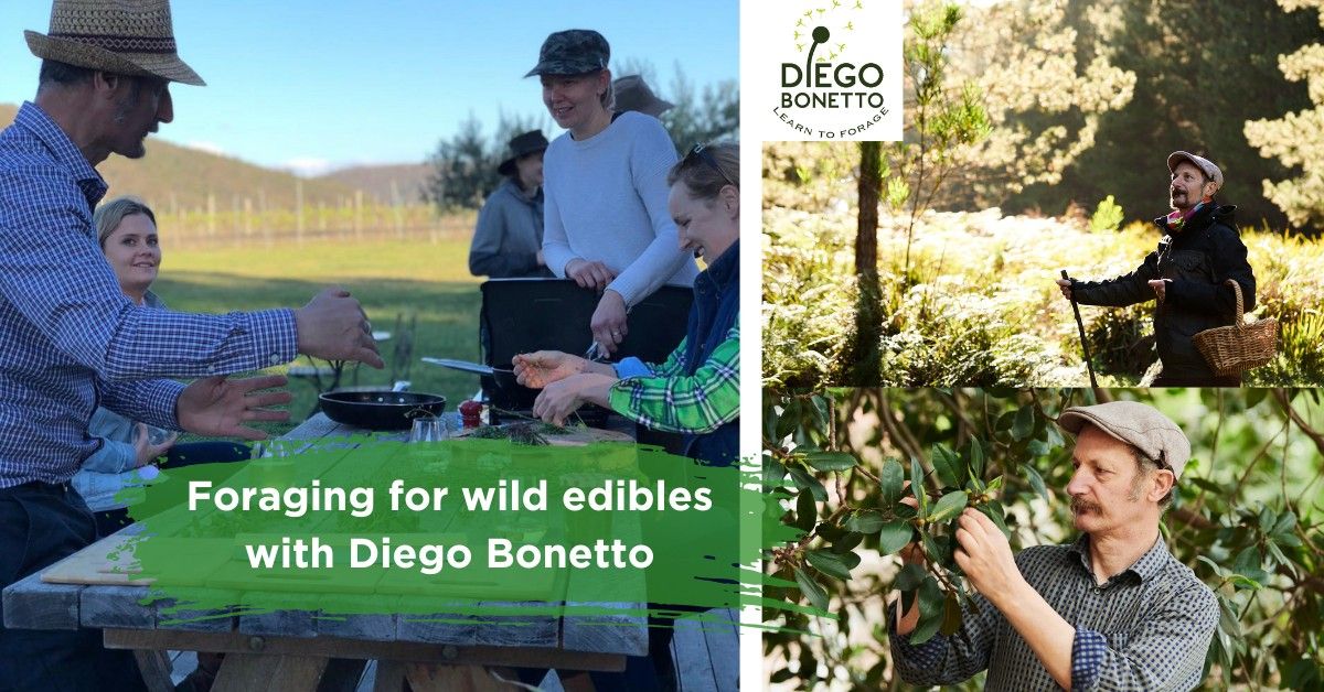 Foraging for wild edibles. Presented by Diego Bonetto
