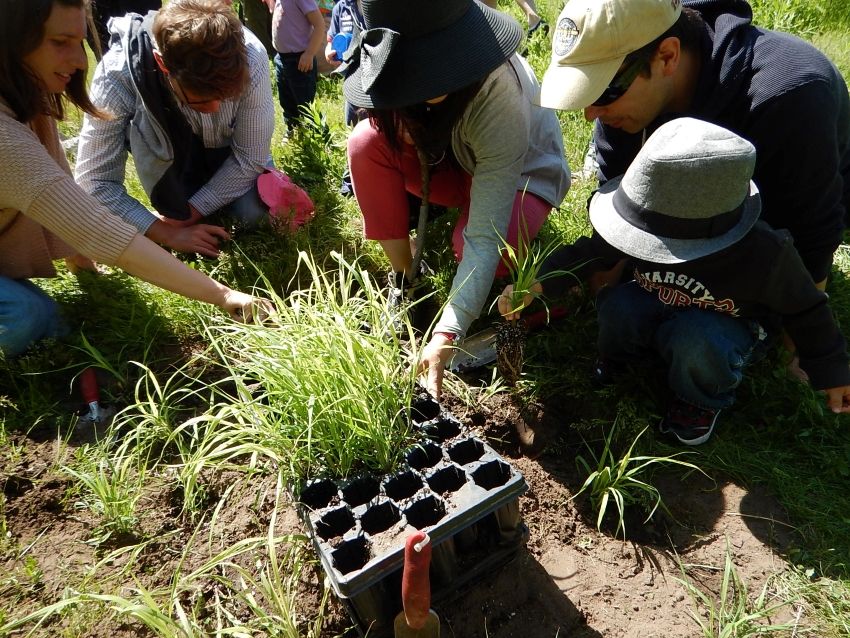  Fall Community Planting in High Park