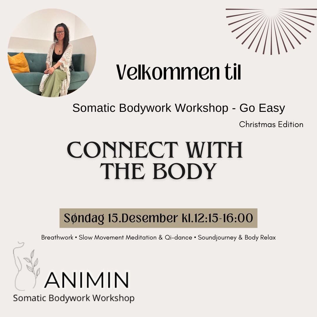 Animin Somatic Bodywork Go Easy - Christmas Edition || Connect with The Body ||