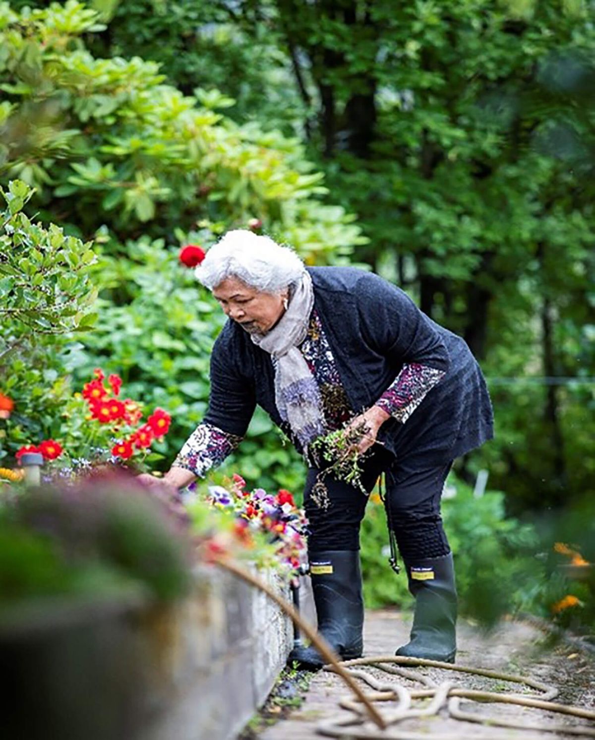 FREE Falls Prevention Workshop