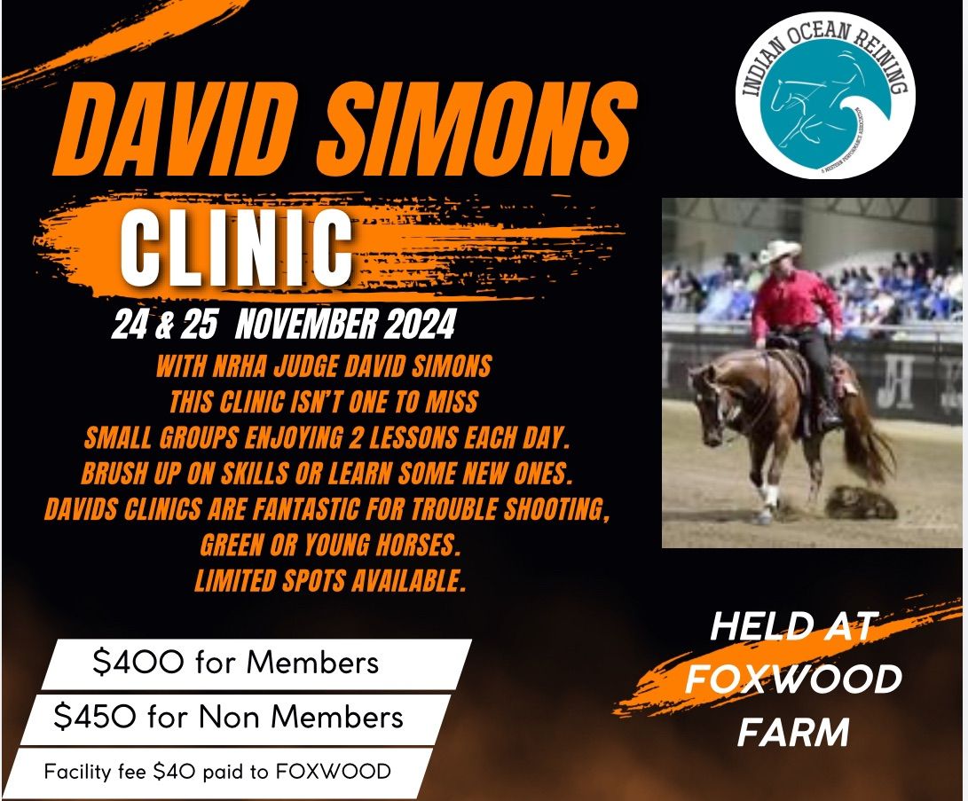 NRHA Judge David Simons 2 Day Clinic