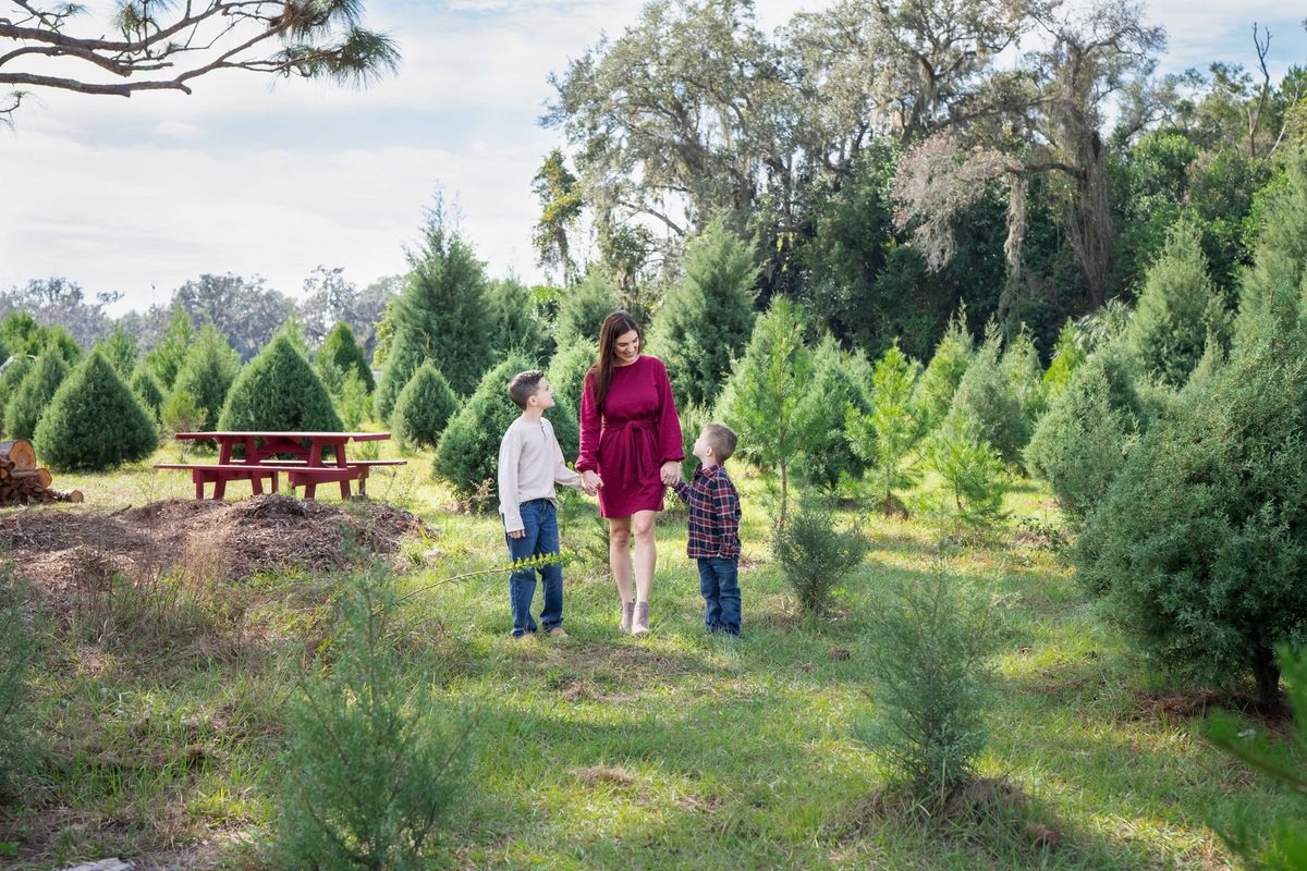 Holiday Portrait Mini - Christmas Tree Farm