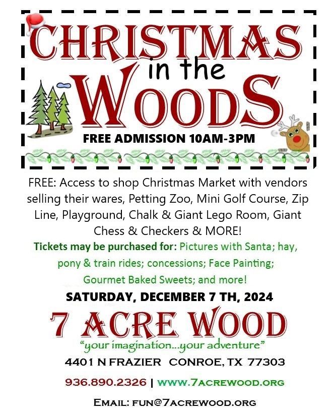 Christmas In The Woods!