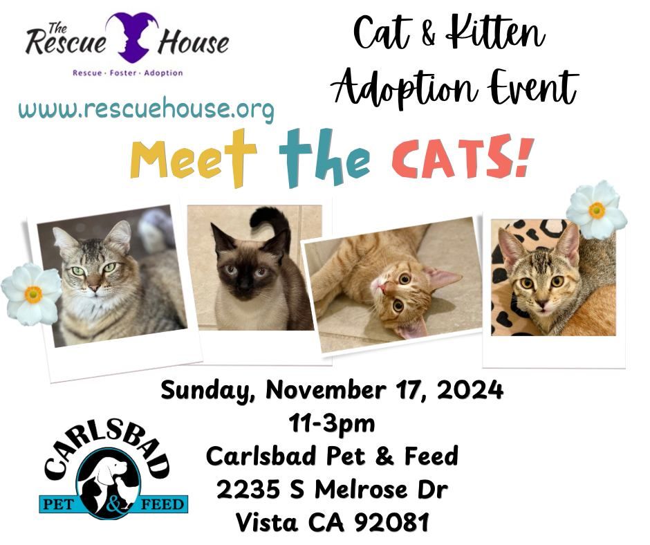 Cat and Kitten Adoption Event