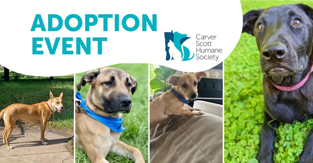 Dog Adoption Event at Pet Evolution - Eden Prairie