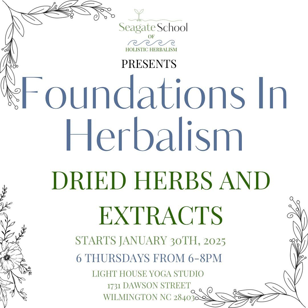 Foundations In Herbalism - Dried Herbs and Extracts 