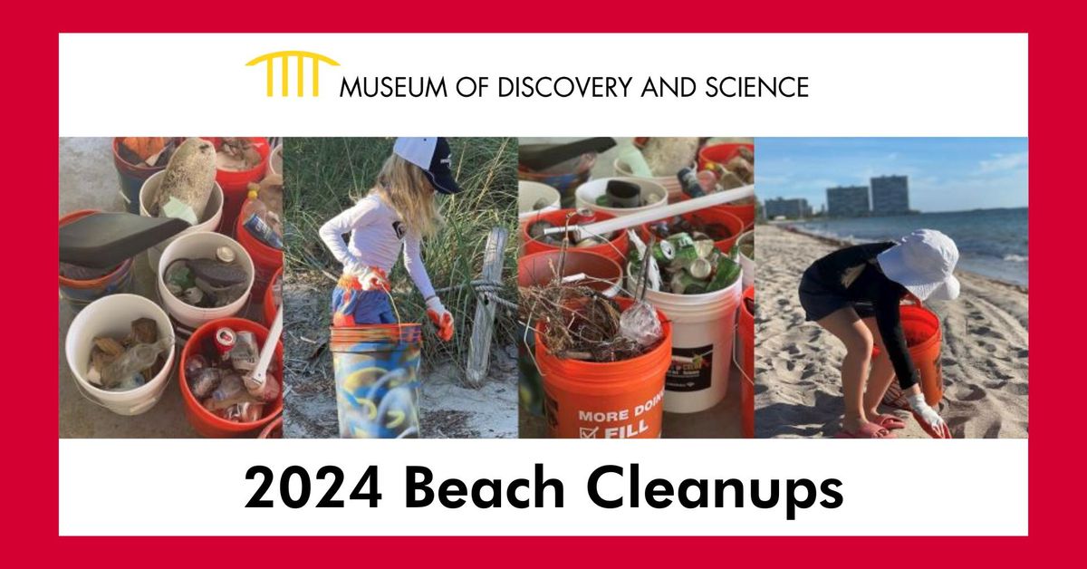 Beach Cleanups