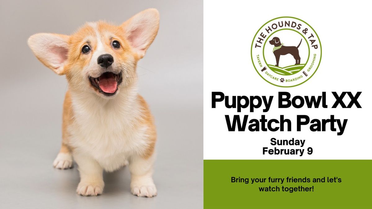 Puppy Bowl XXI Watch Party