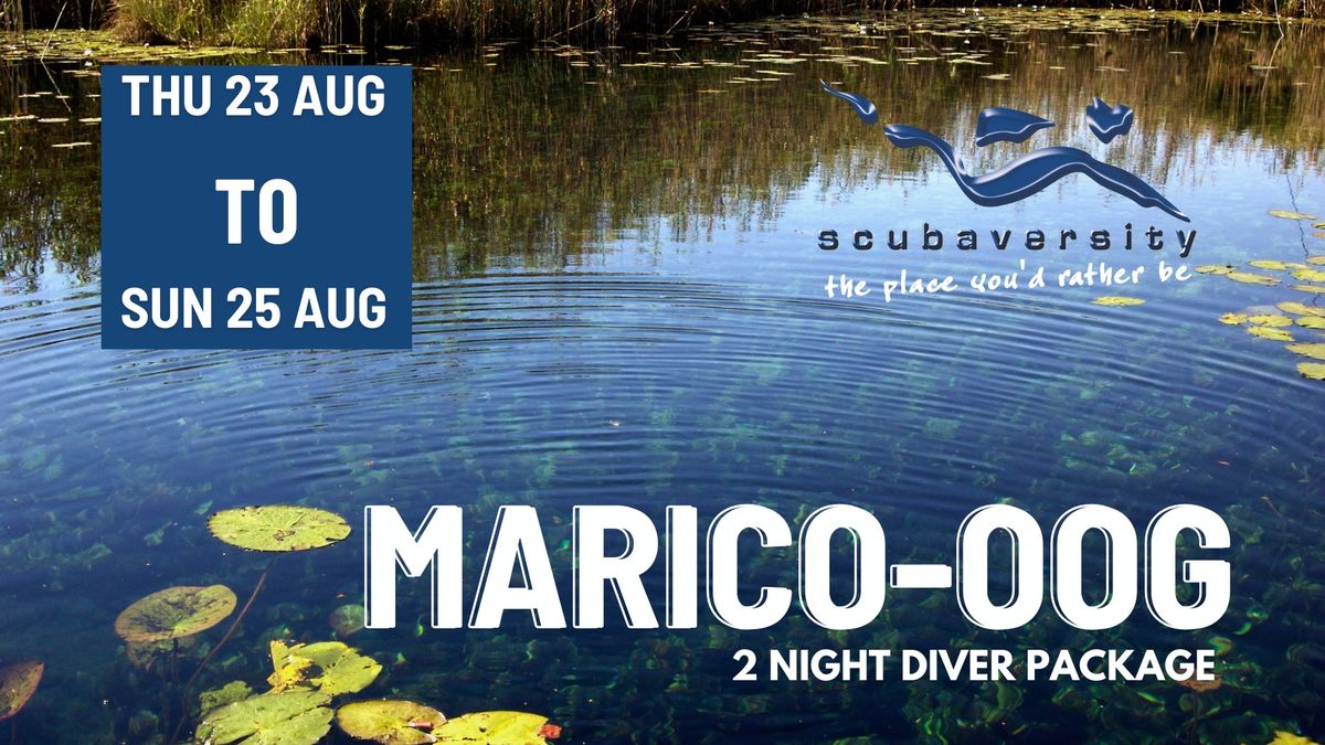 Marico Oog August