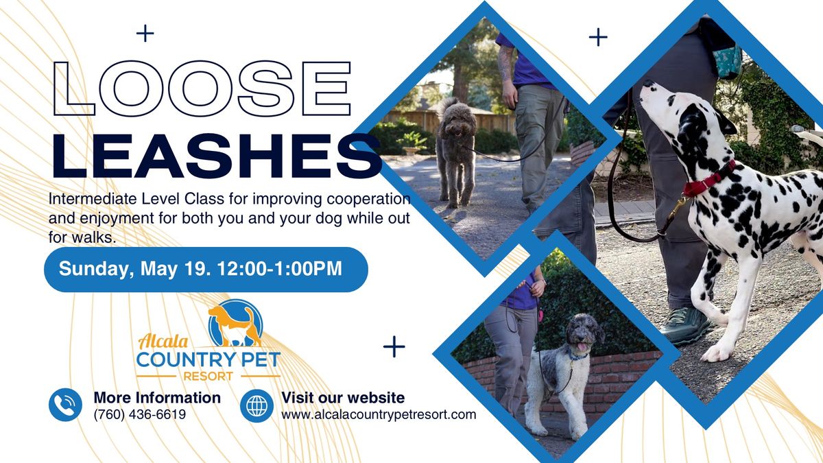 Loose Leashes Group Dog Training Class