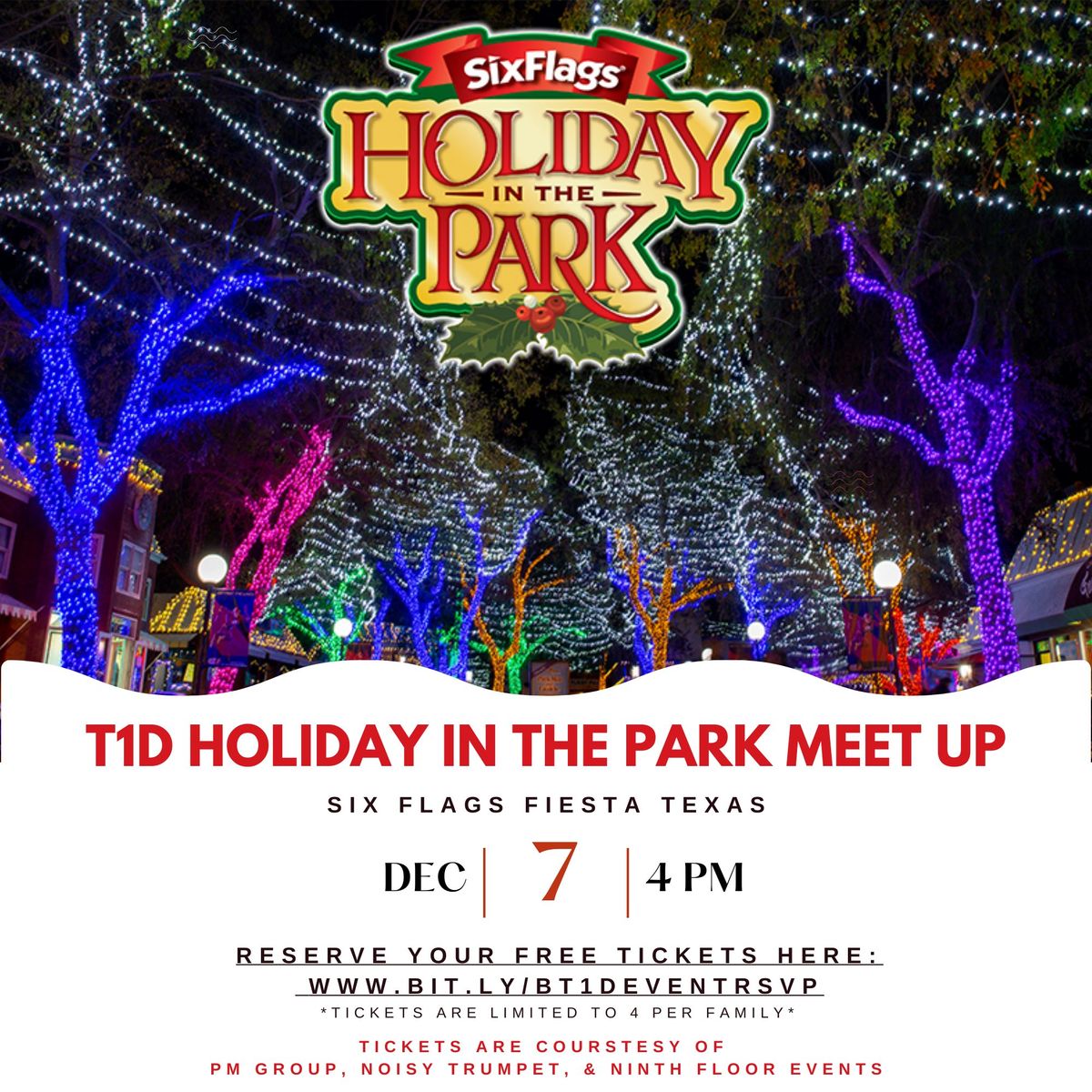 T1D Holiday in the Park Meet Up