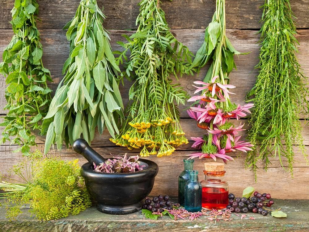 Herbs for Health - The Slow Sunday Sessions