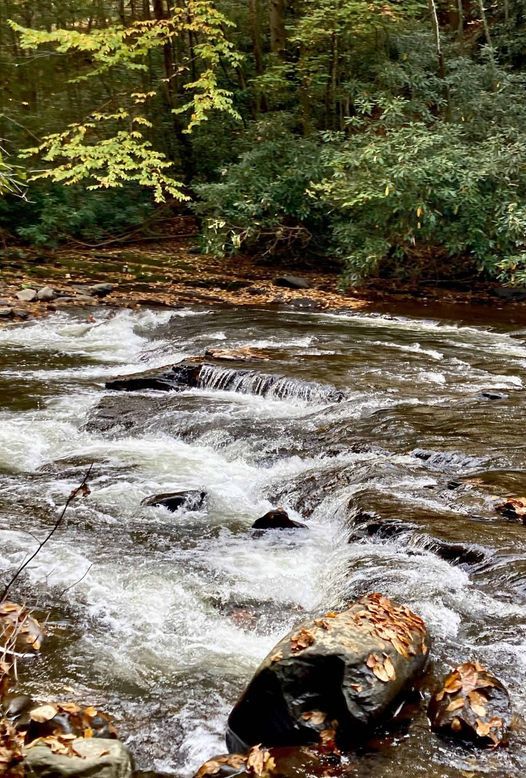 GET TO KNOW HIDDEN POCONO CREEK