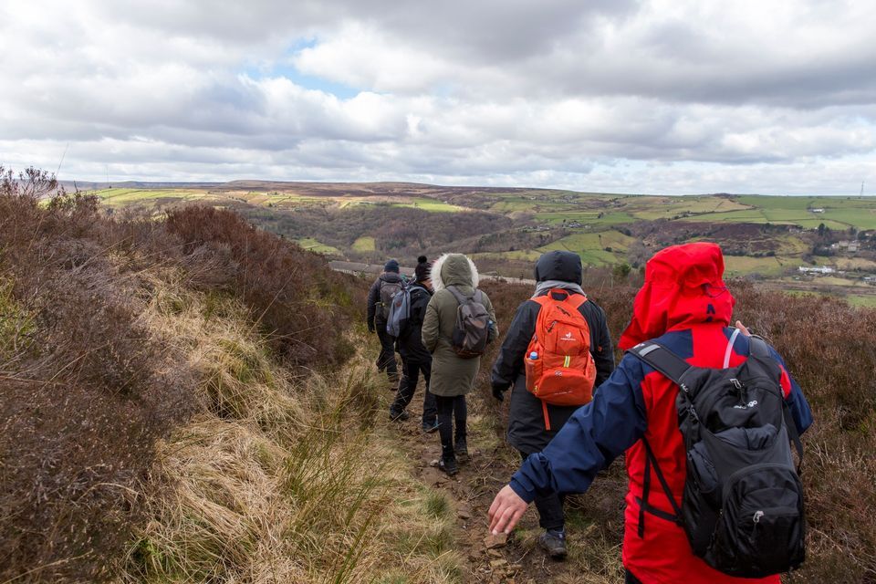 New Years Walk at Brimham Rocks