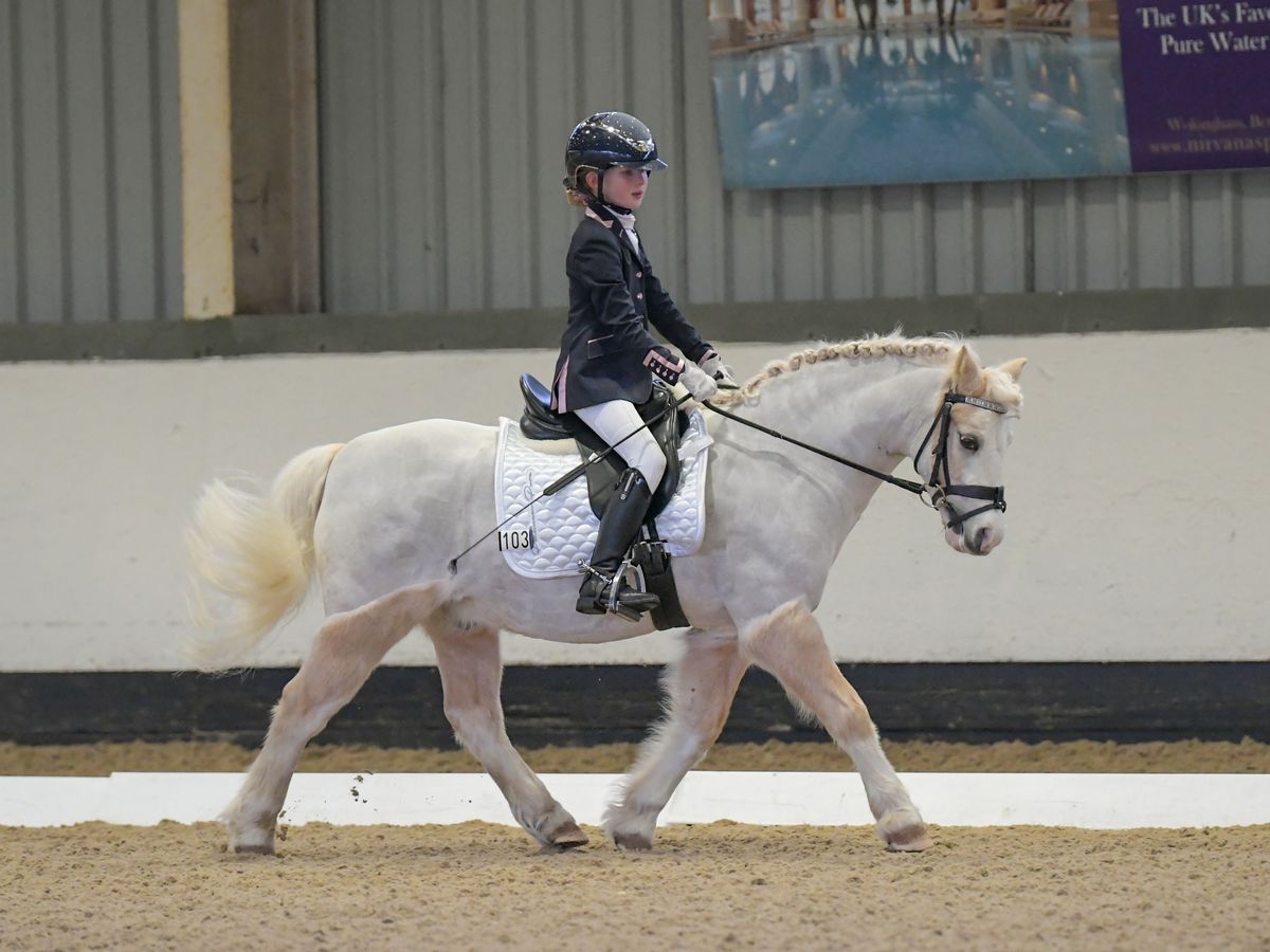 British Dressage - Quest