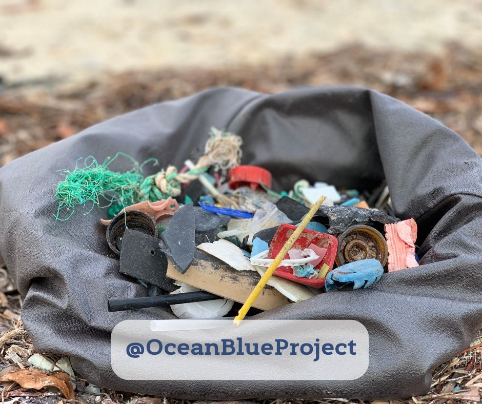 Make an Impact: Volunteer by Ocean Blue Project Beach Cleanup