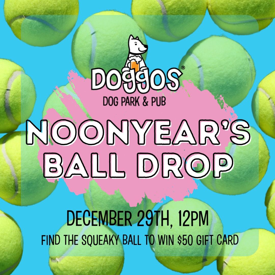 Noon Year's Ball Drop