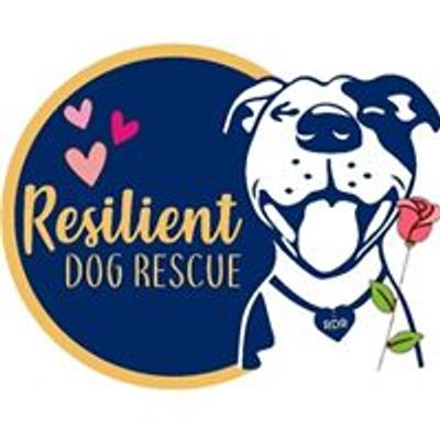 Resilient Dog Rescue