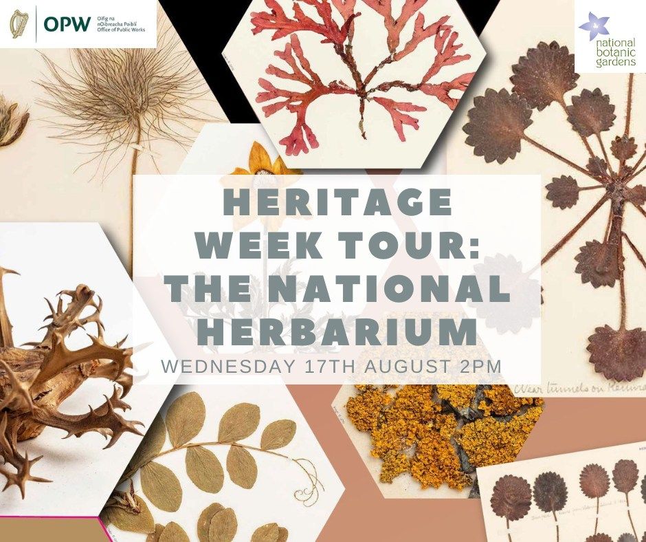 Heritage Week Tour: The National Herbarium