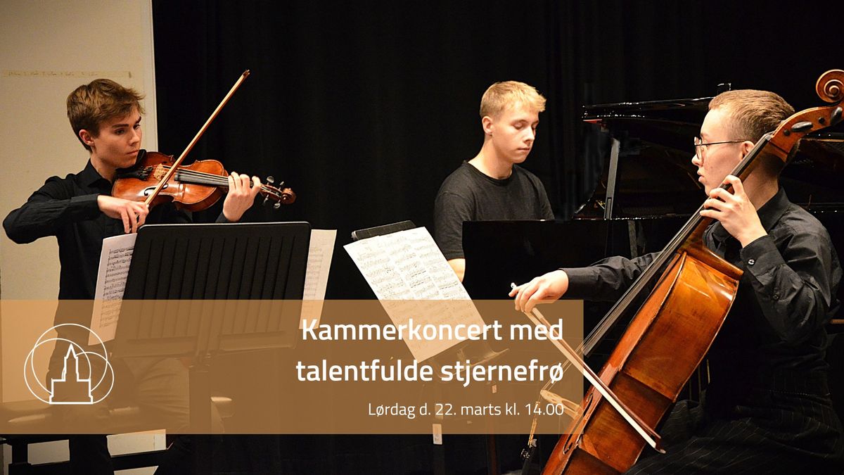 Kammerkoncert med talentfulde stjernefr\u00f8