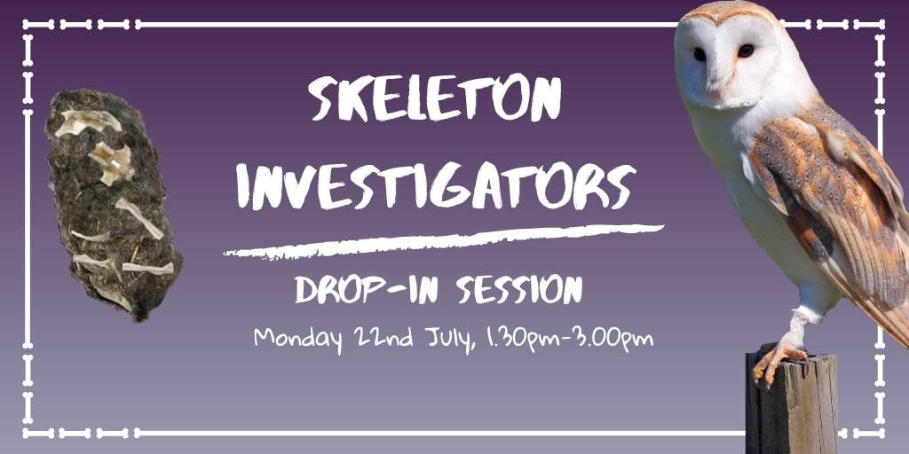 Skeleton Investigators  Drop-In Session