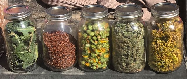 Exploring Herbalism