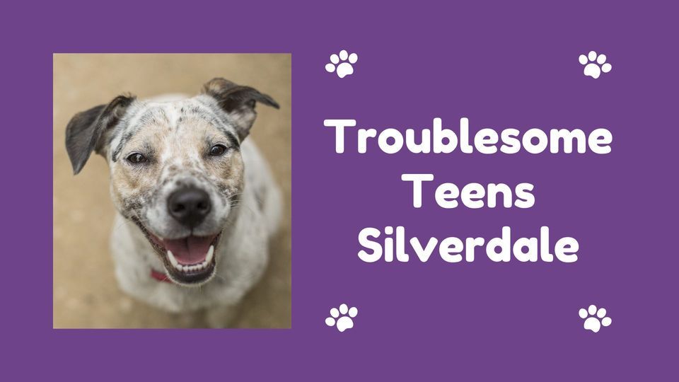 Troublesome Teens Silverdale