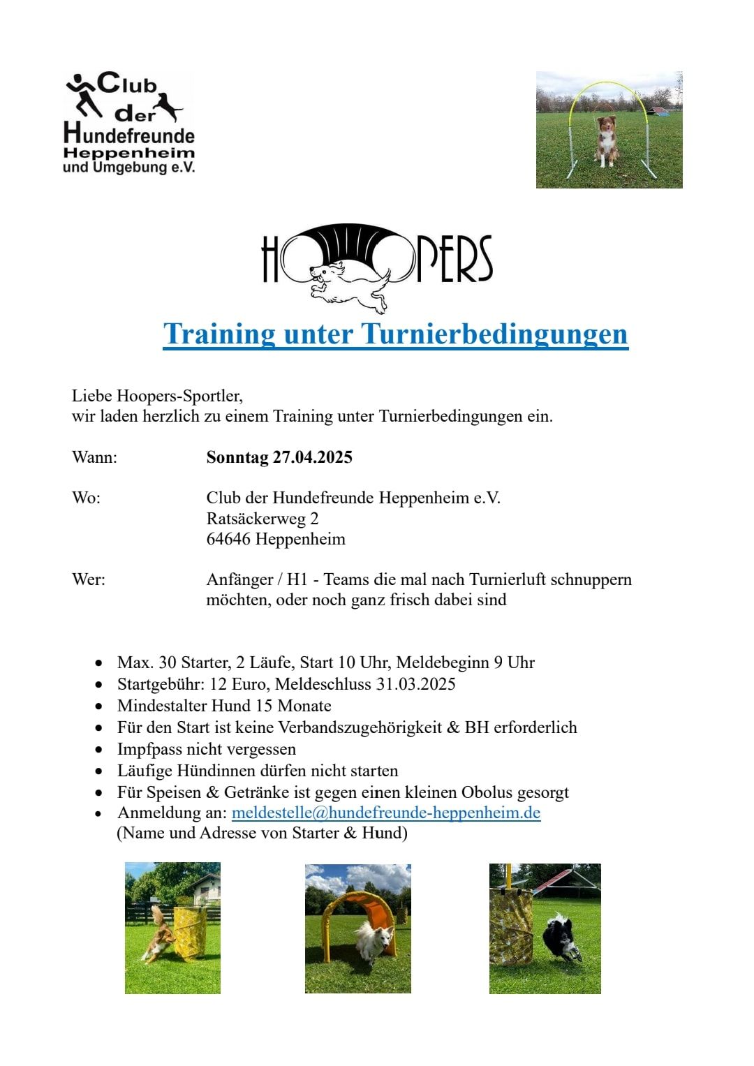 Hoopers Training unter Turnierbedingungen 