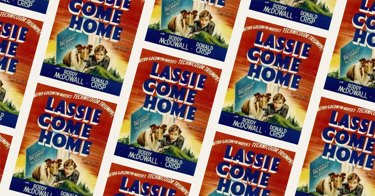 Pets and the City Movie Night: Lassie Come Home (1943)