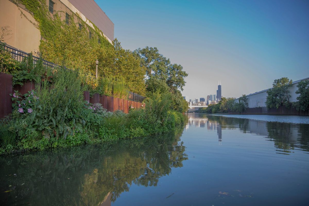 Urban Rivers Wild Mile Clean Up