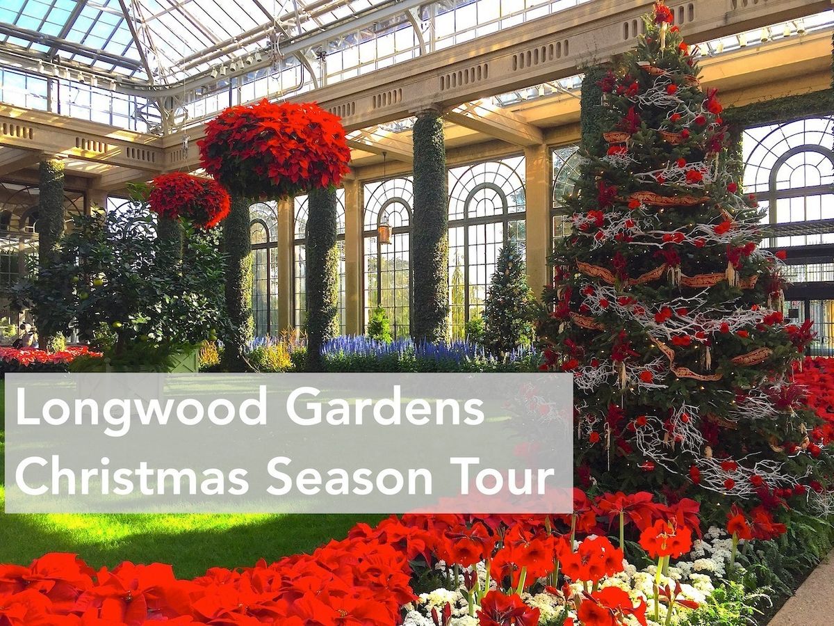 Longwood Gardens Christmas Season Tour